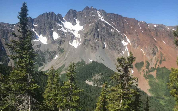 green trees stand in front of a mountainous ridge in the pacific northwest 